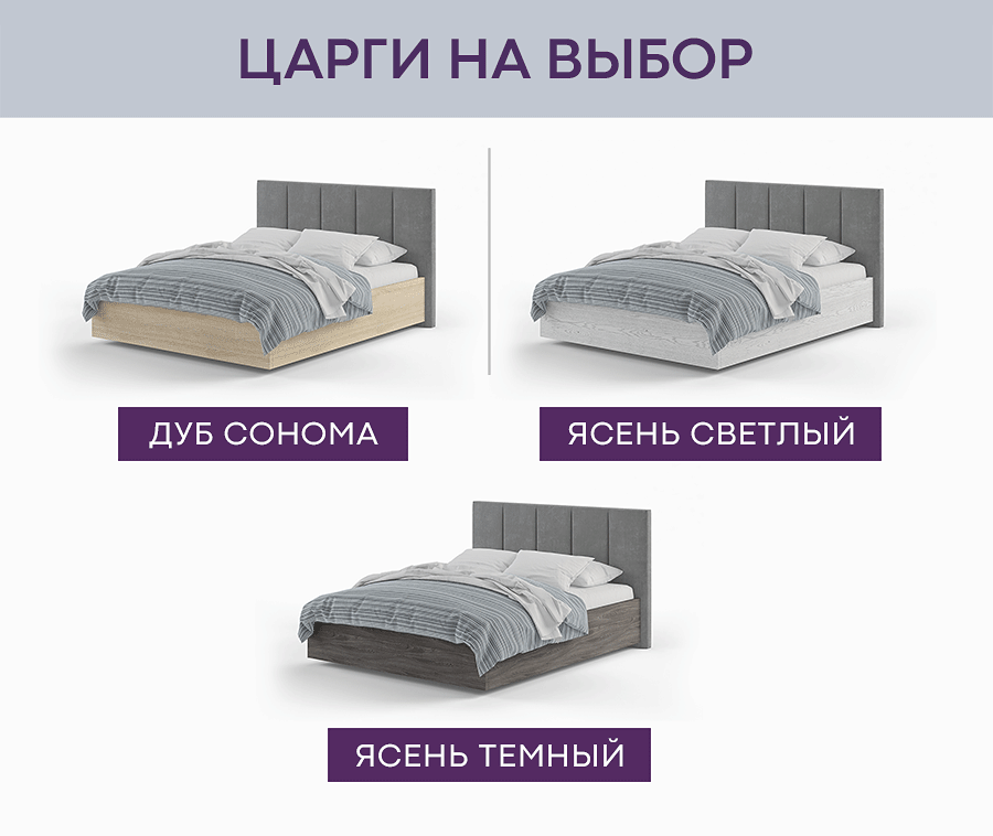 cargi.jpg